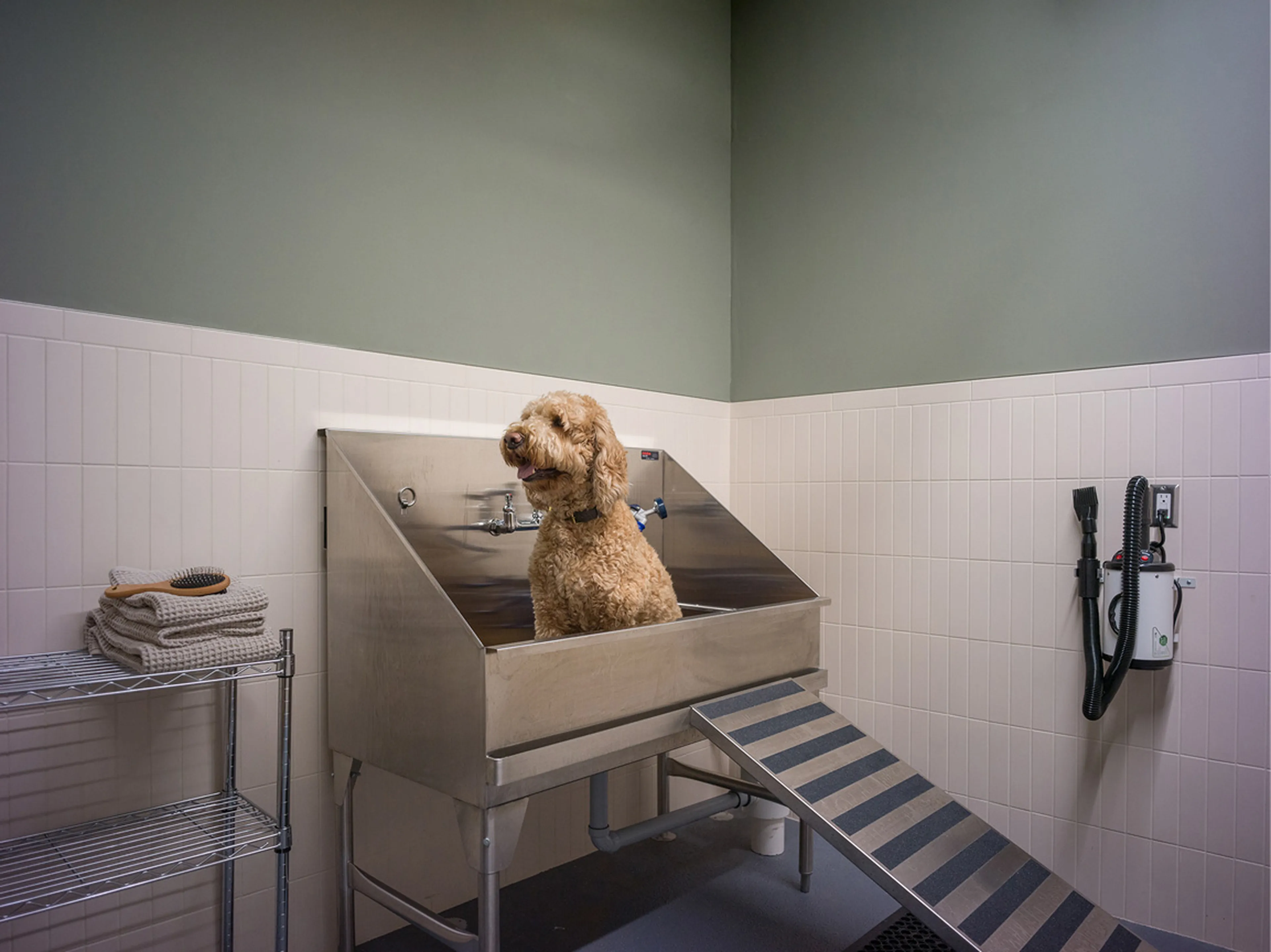 A dog-wash station for muddy paws