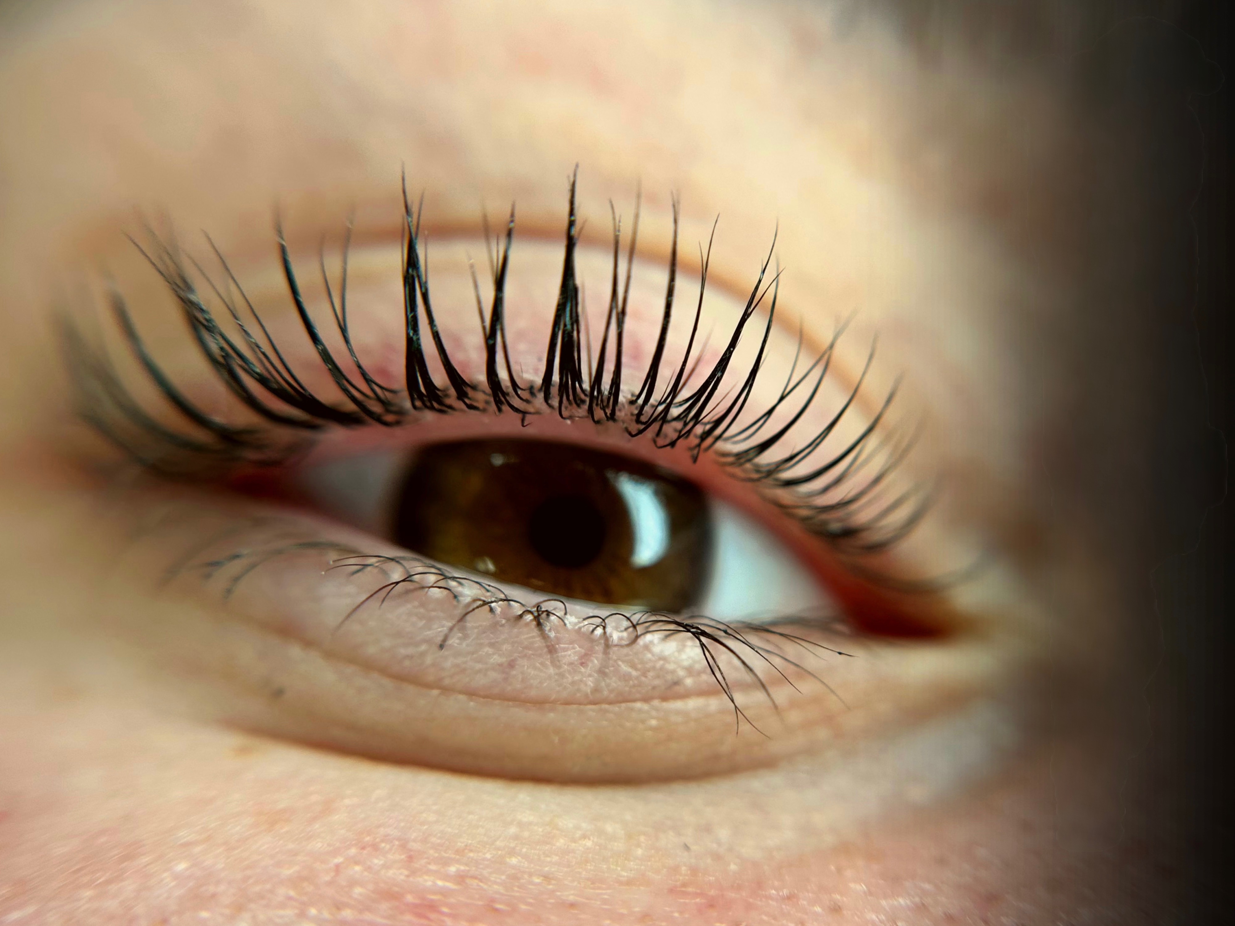 Callista Beauty & Spa - luxury wellness experience