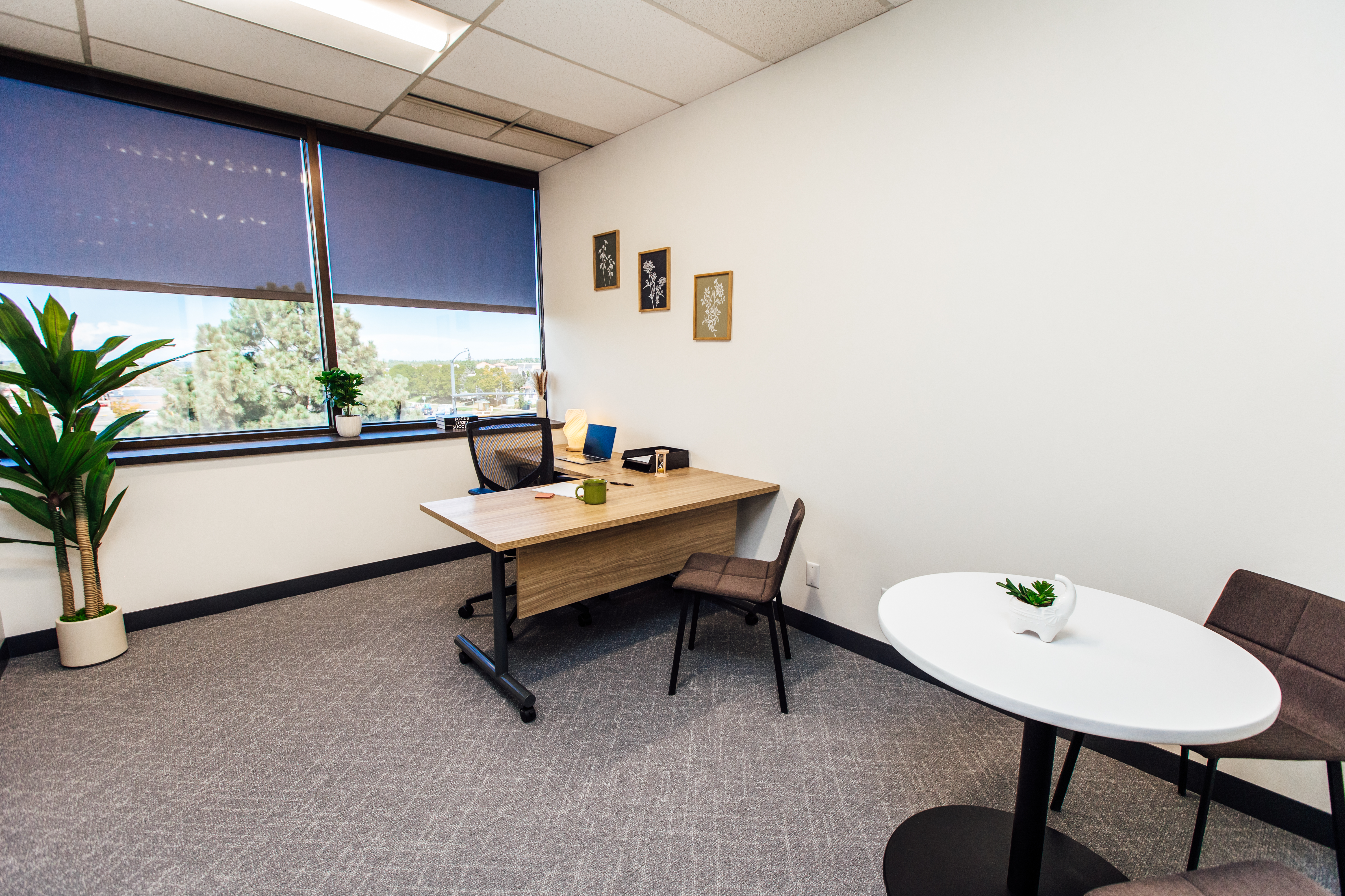 Team Office - #243 - Westminster, CO thumbnail 1