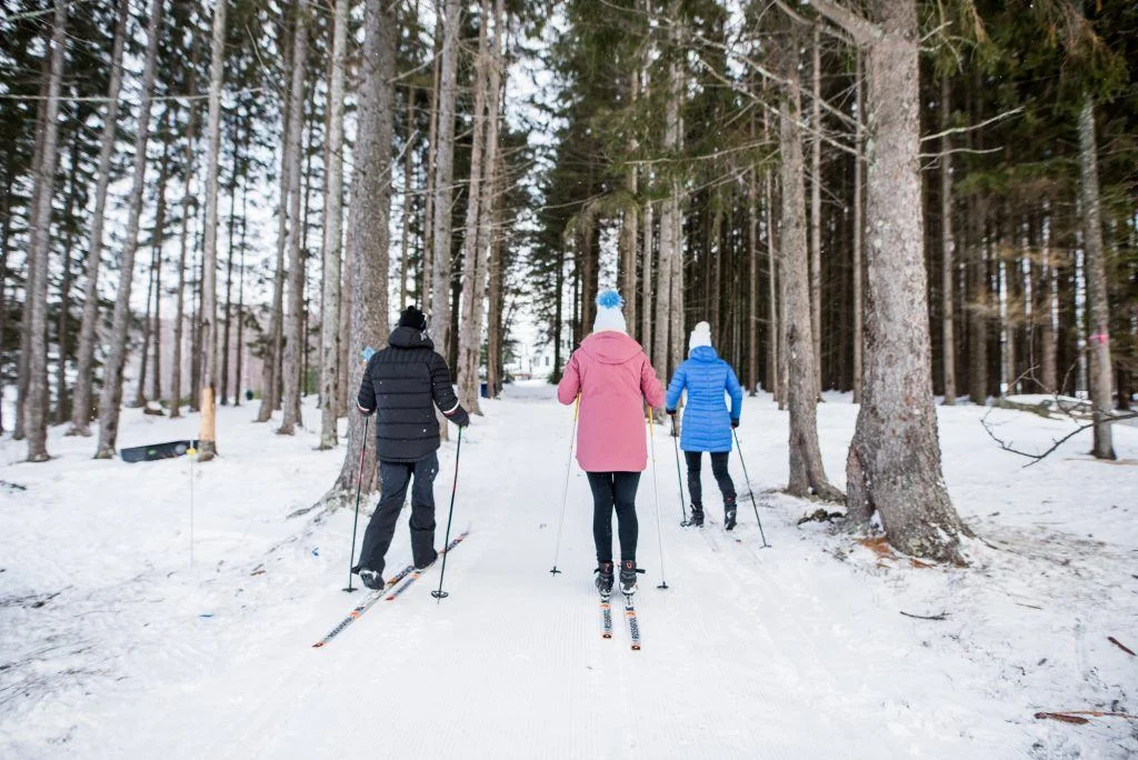 Three people cross-country skiing through a snowy forest, dressed in winter clothing and using poles, surrounded by tall trees.