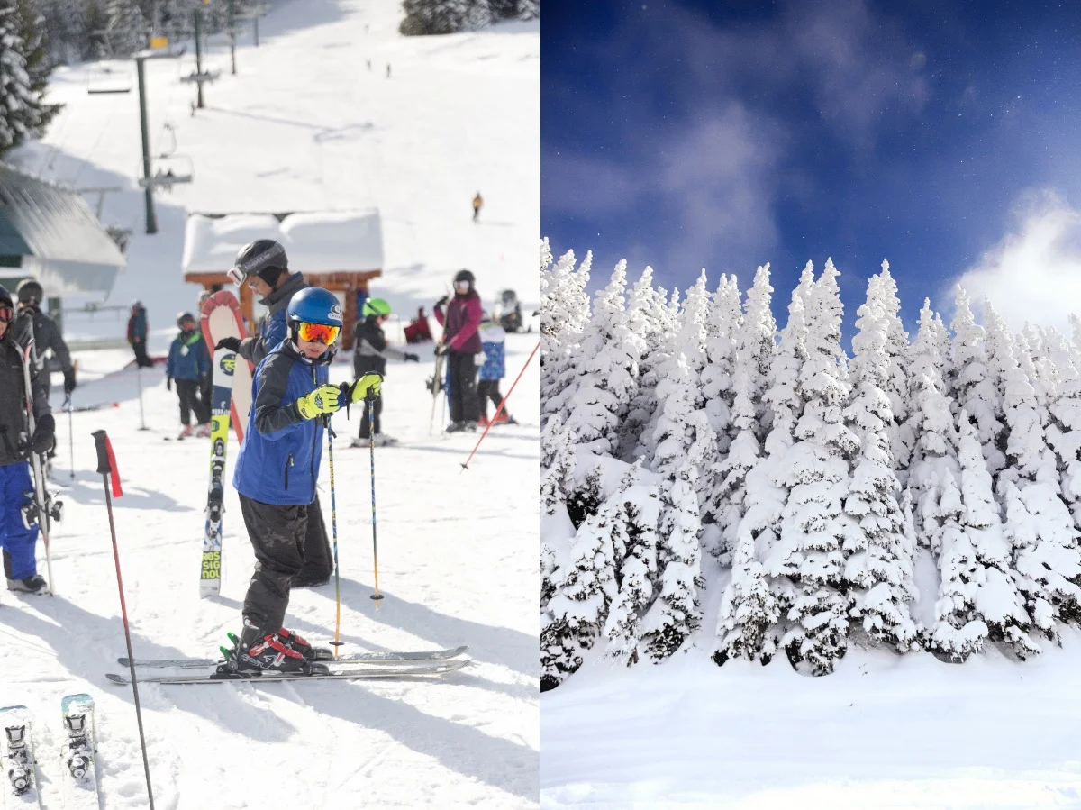 Skiers preparing on a snowy slope; adjacent snow-covered evergreen trees against a blue sky.