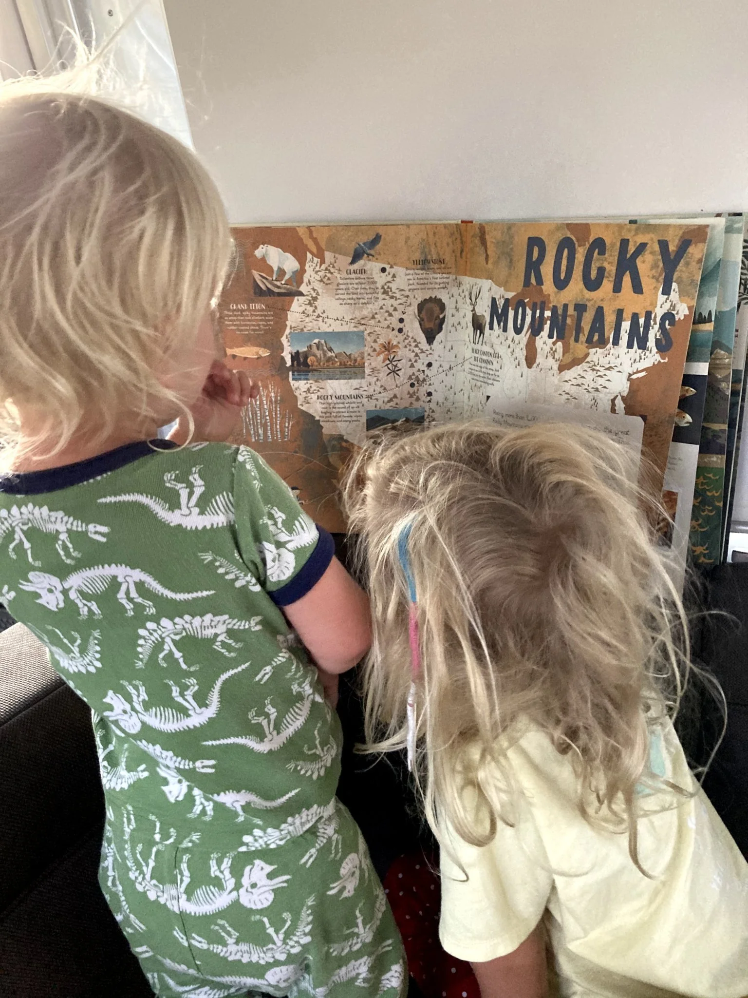 Two young children with blonde hair look at an illustrated book page about the Rocky Mountains. One wears green pajamas with a dinosaur pattern, and the other has a hair clip and is leaning closer to the book.