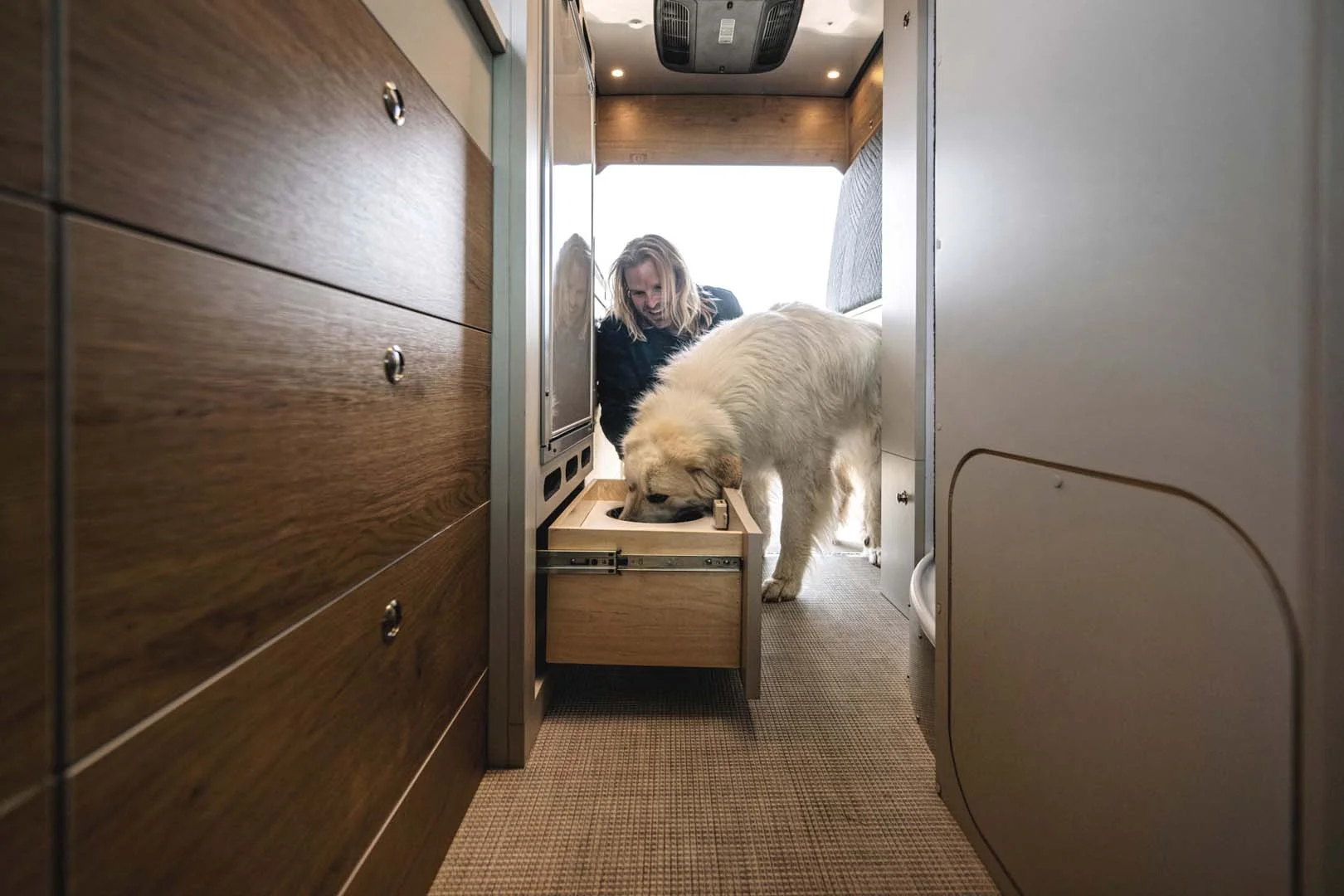 Person and large white dog inside a camper van, with the dog eating from a pull-out drawer. Wood paneling and carpeted floor visible.