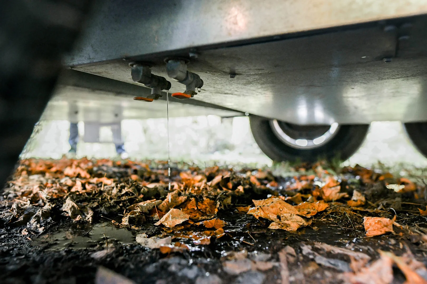 Water drips from a valve under a vehicle, with fallen leaves and wet ground visible below. Car tires and some greenery are seen in the background.
