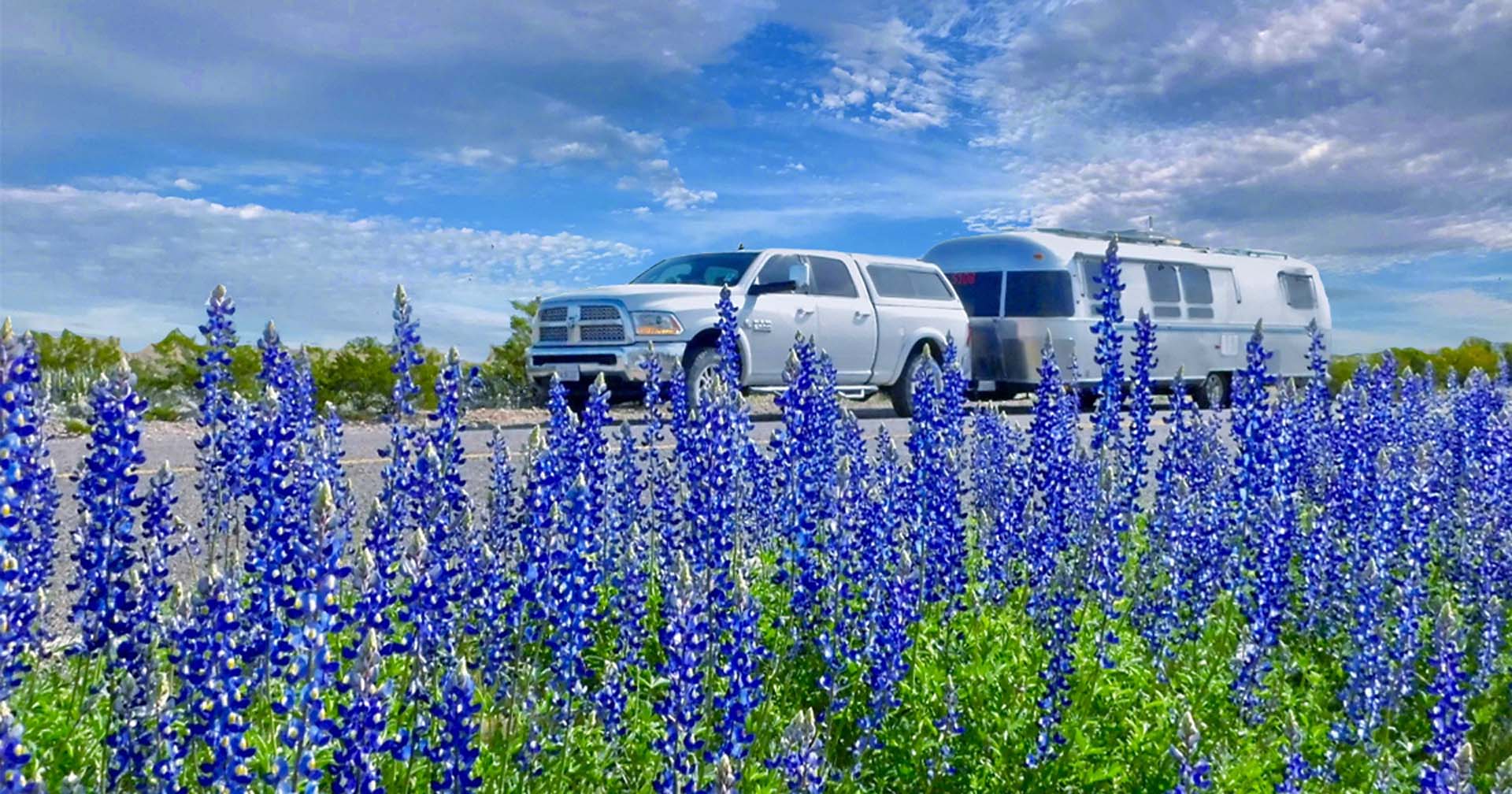 A silver truck and trailer parked on a road, with vibrant blue wildflowers in the foreground and a partly cloudy sky above.
