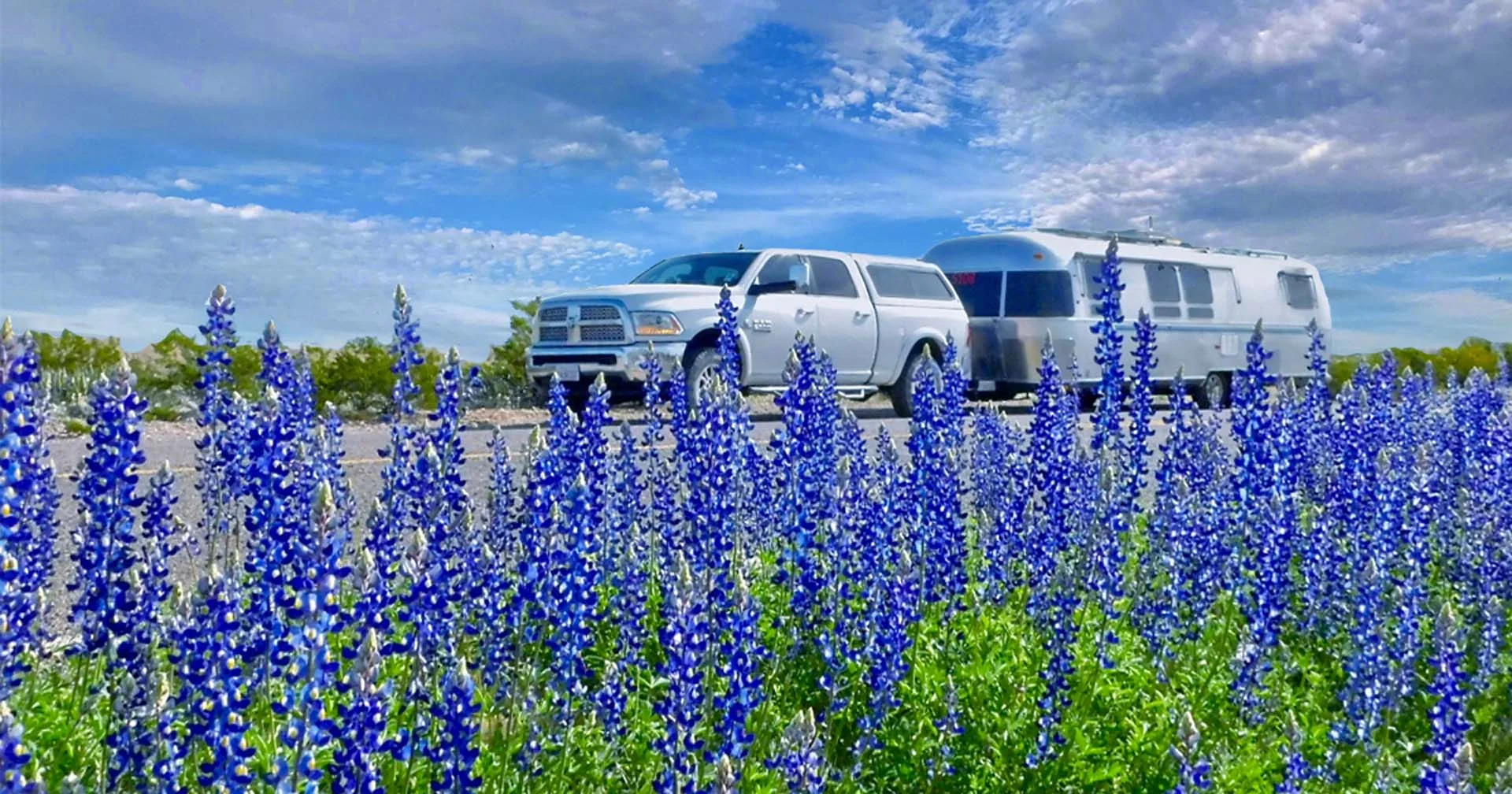 A white pickup truck towing a silver Airstream trailer is parked on a road, with vibrant bluebonnet wildflowers in full bloom in the foreground and a partly cloudy sky above.