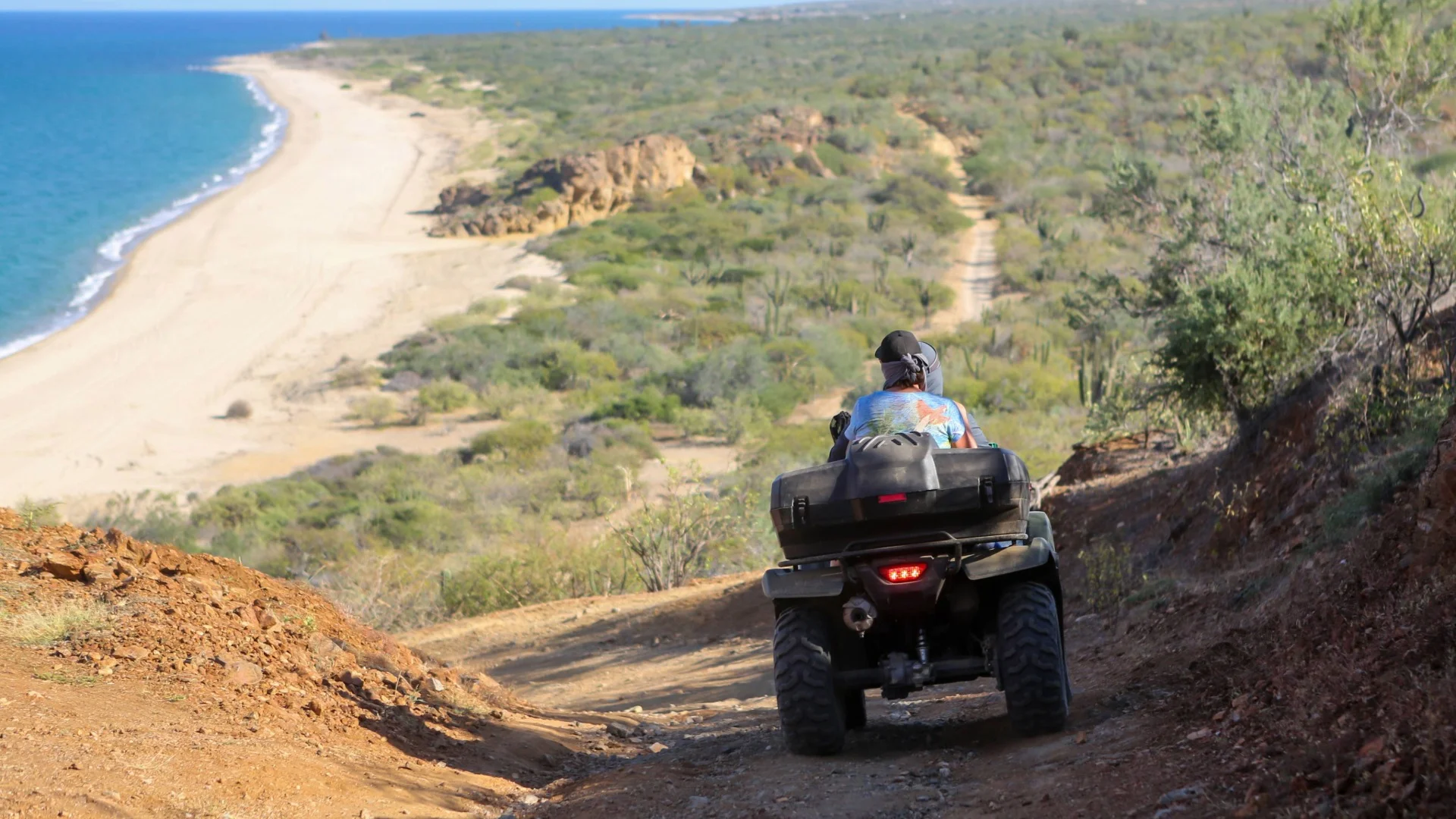 Person on an ATV rides down a dirt trail overlooking a sandy beach and blue ocean, surrounded by green shrubs under a clear sky.