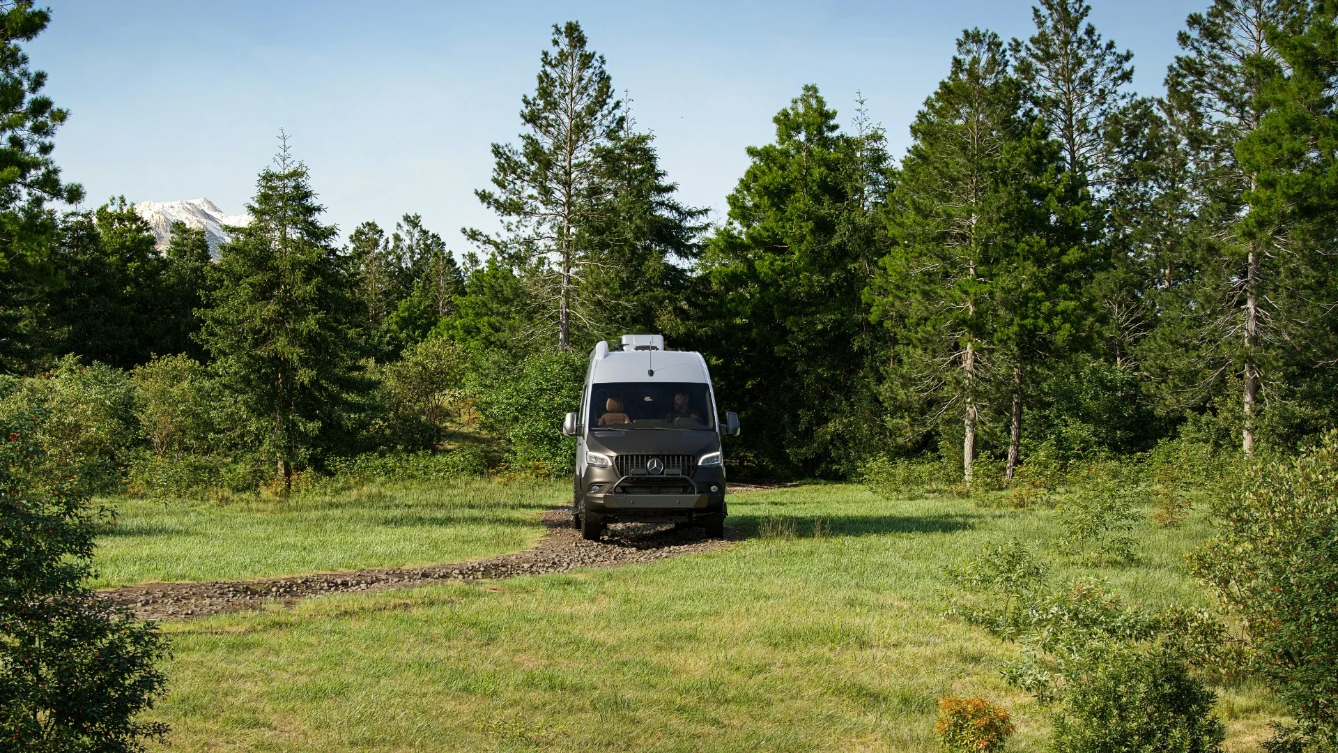 A camper van driving on a narrow dirt path in a lush forest with tall pine trees and a mountain partially visible in the background.