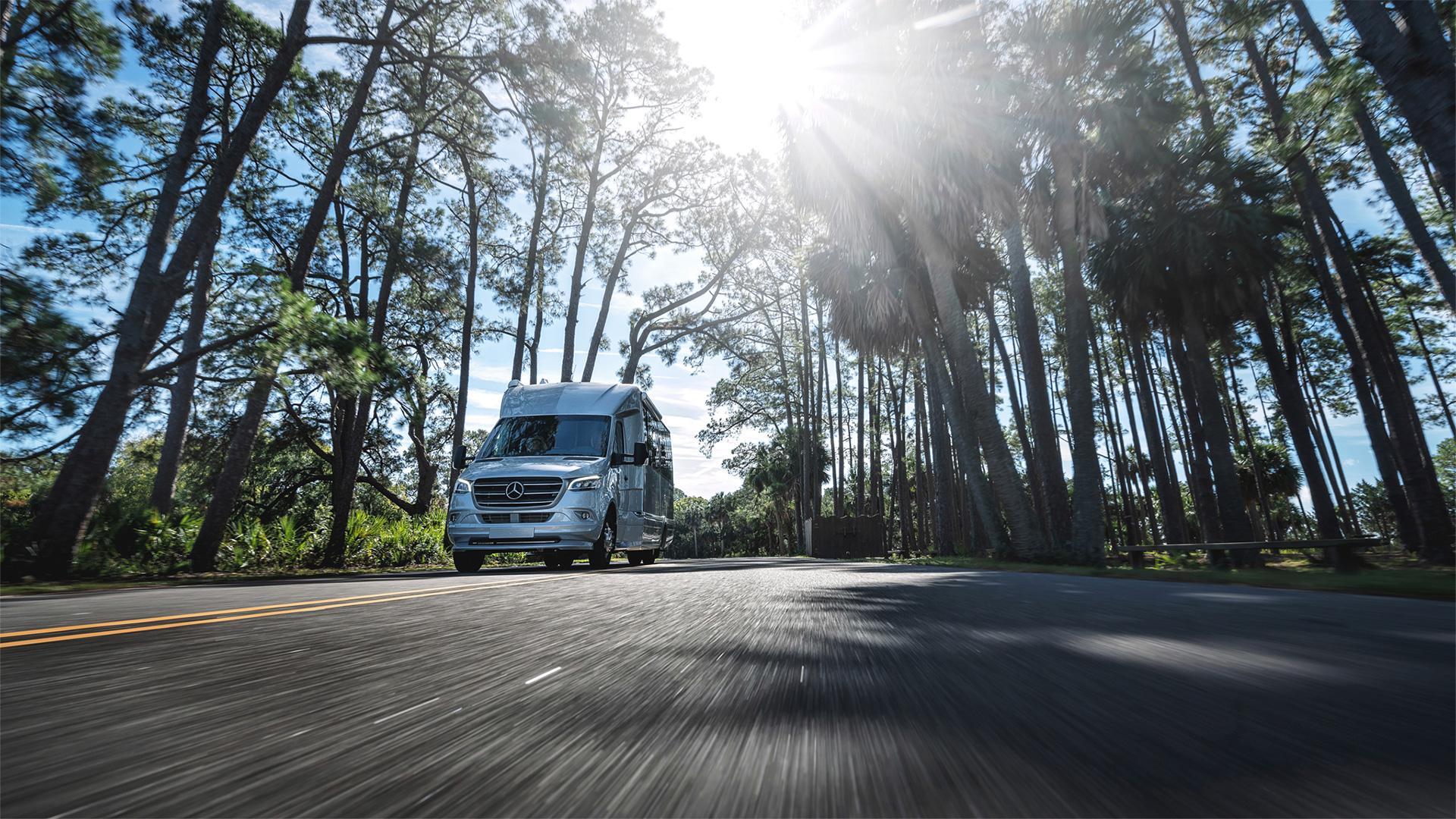 A silver van travels down a tree-lined road under a bright sun, with tall trees casting shadows across the smooth asphalt.