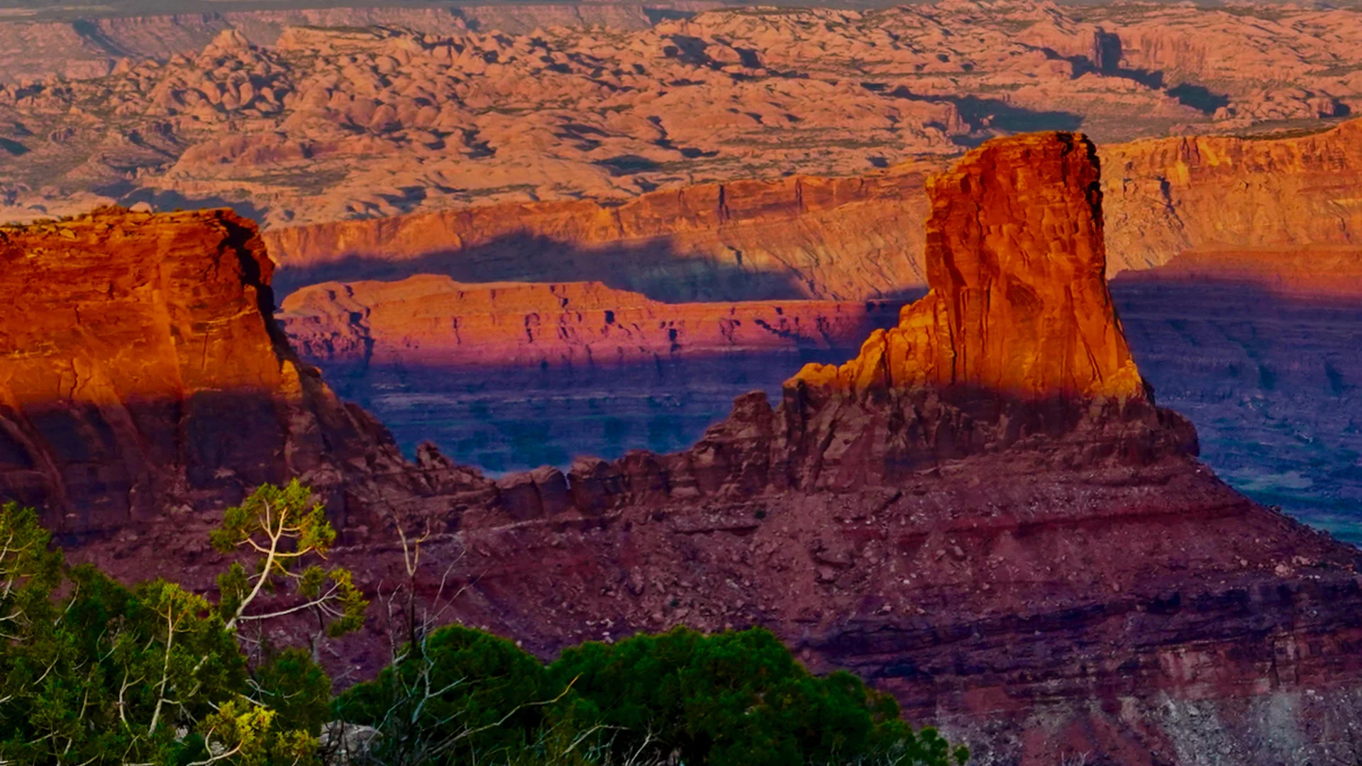 Sunset casts vivid orange and purple hues over dramatic buttes and layered rock formations in a desert canyon landscape, with green shrubs in the foreground.