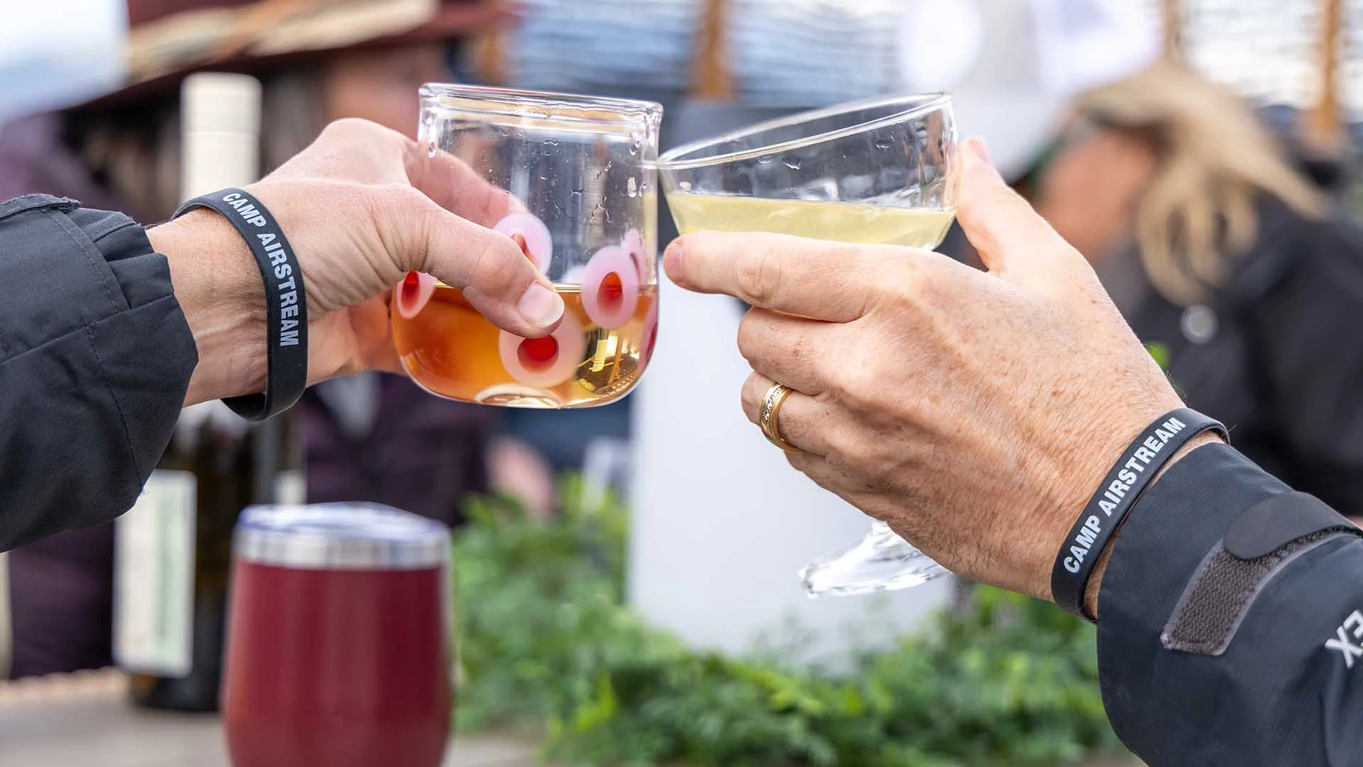Two people clink glasses, one with orange juice and cherries, the other with champagne, wearing "Camp Anstruther" wristbands.
