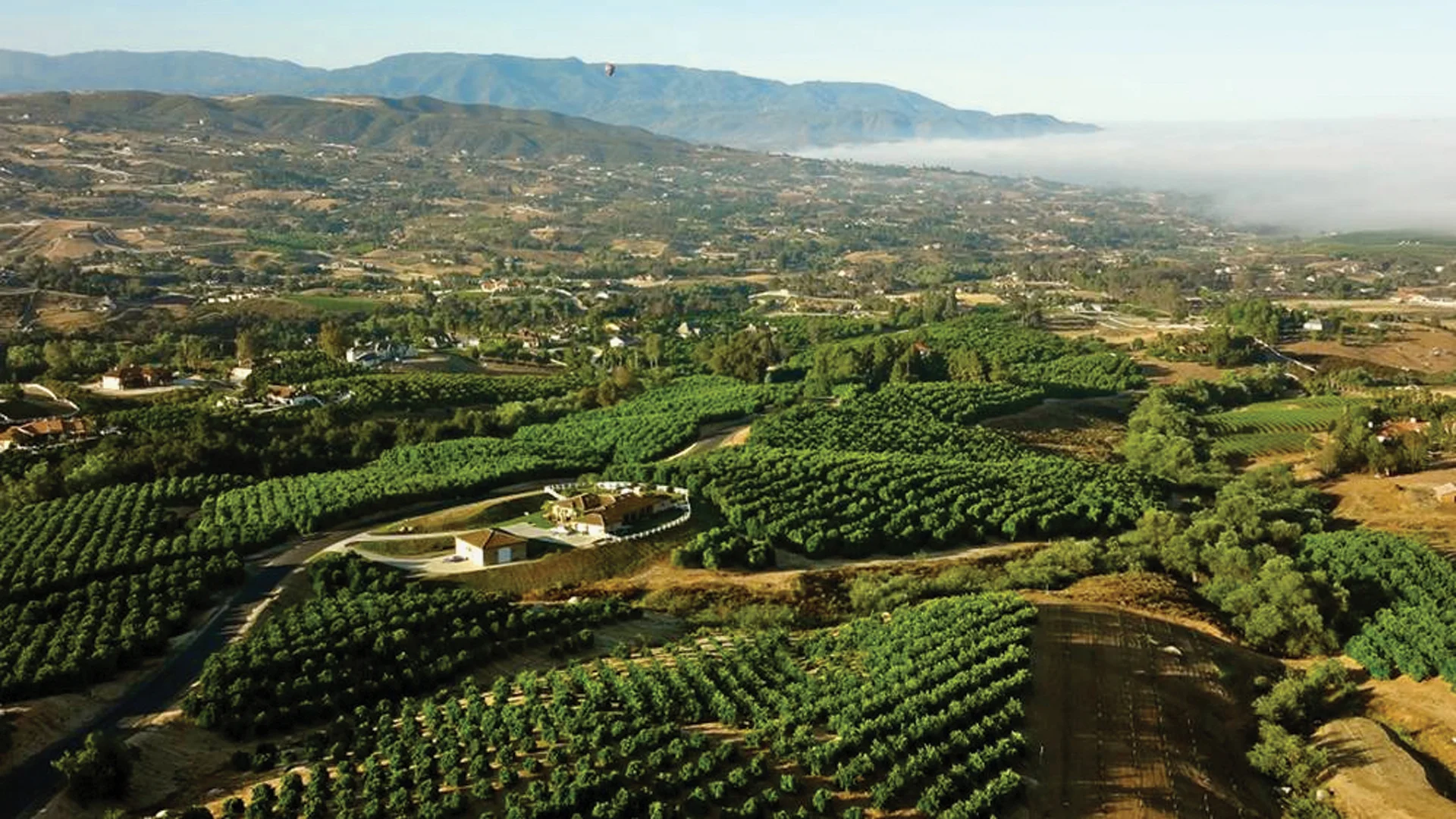 Aerial view of a lush green orchard landscape with rows of trees, a farmhouse in the center, winding roads, distant mountains, and low clouds in the background.
