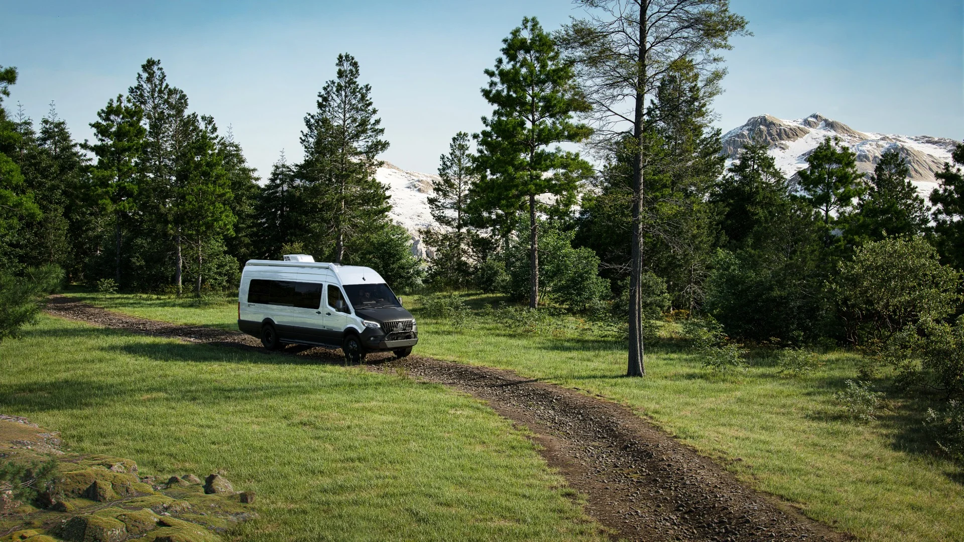 A white van driving on a dirt path through a grassy forest with trees and snow-capped mountains in the background under a clear blue sky.