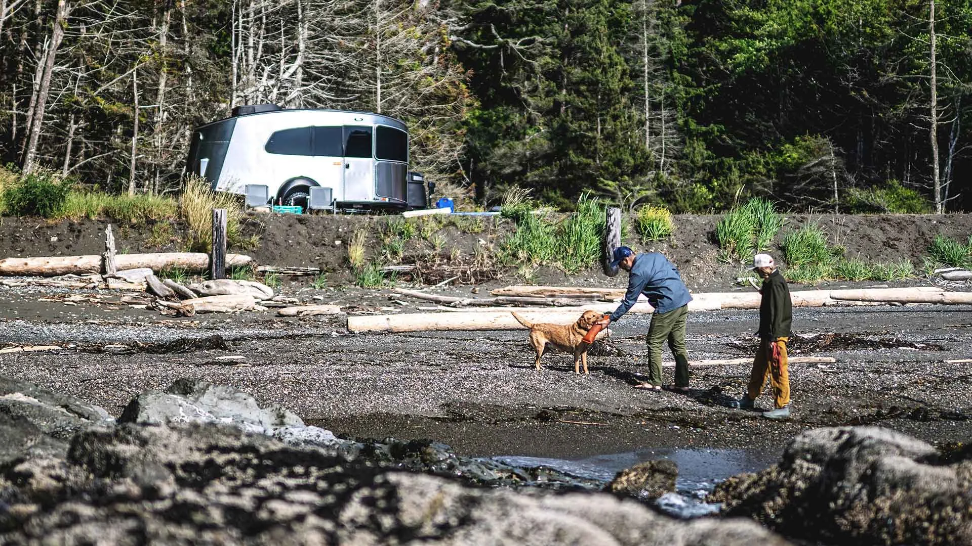 Two people and a dog walk along a rocky beach near a modern trailer, surrounded by trees and driftwood.