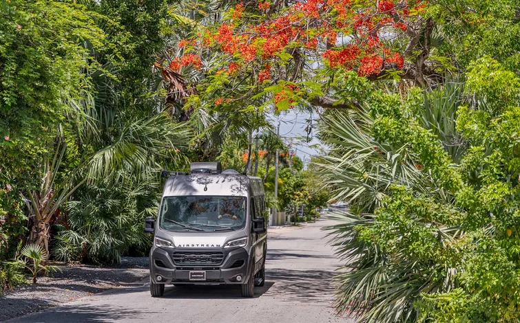 Campervan driving down a lush, tree-lined street with vibrant red blossoms overhead.