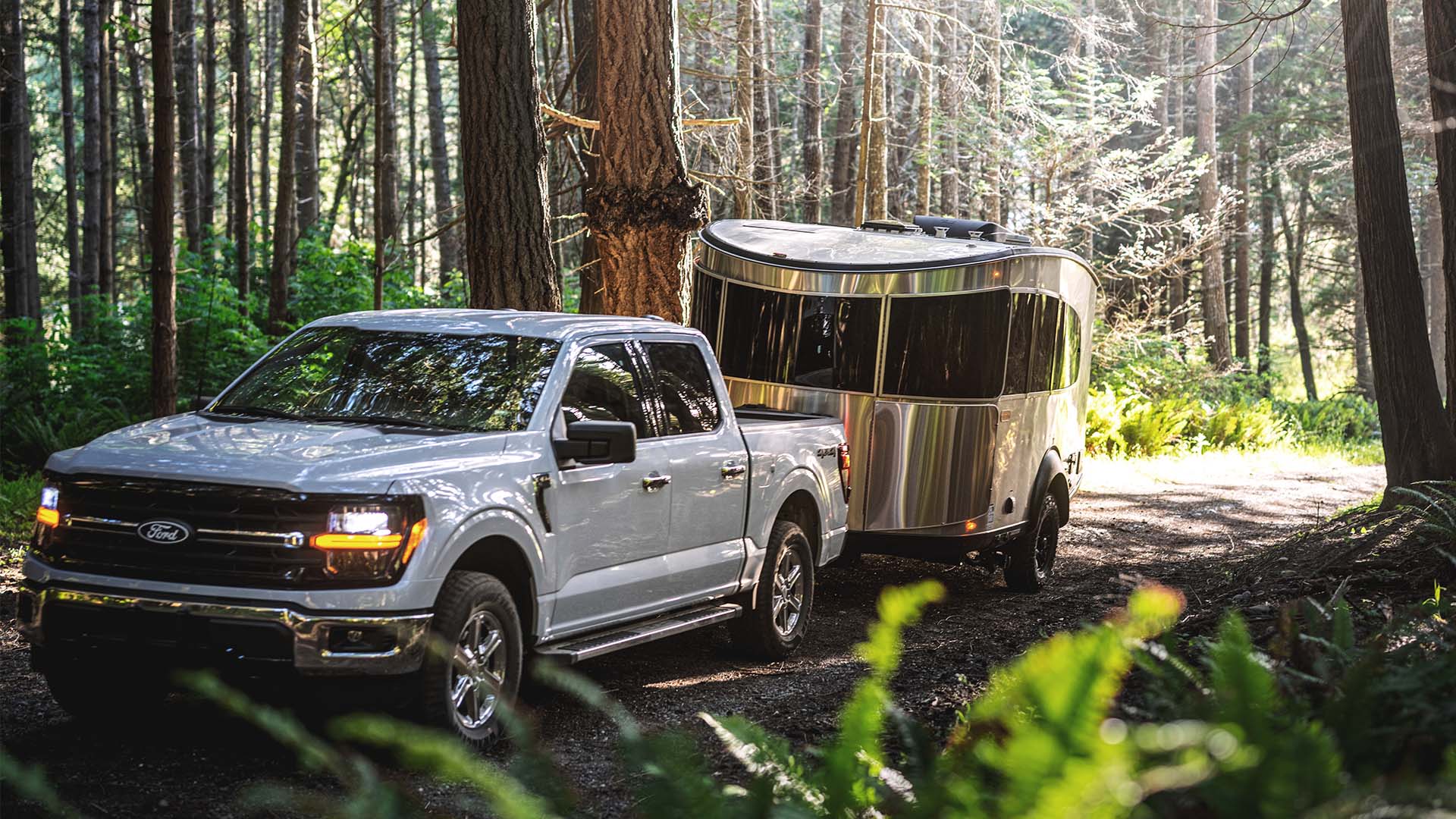 A silver pickup truck tows a sleek, modern trailer through a sunlit forest with dense greenery and tall trees.