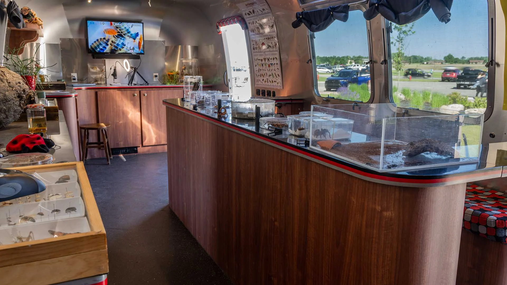 Interior of the Airstream Bugmobile set up as an insect exhibit, with various bug displays, a microscope, a stool, and a TV screen showing insect footage.