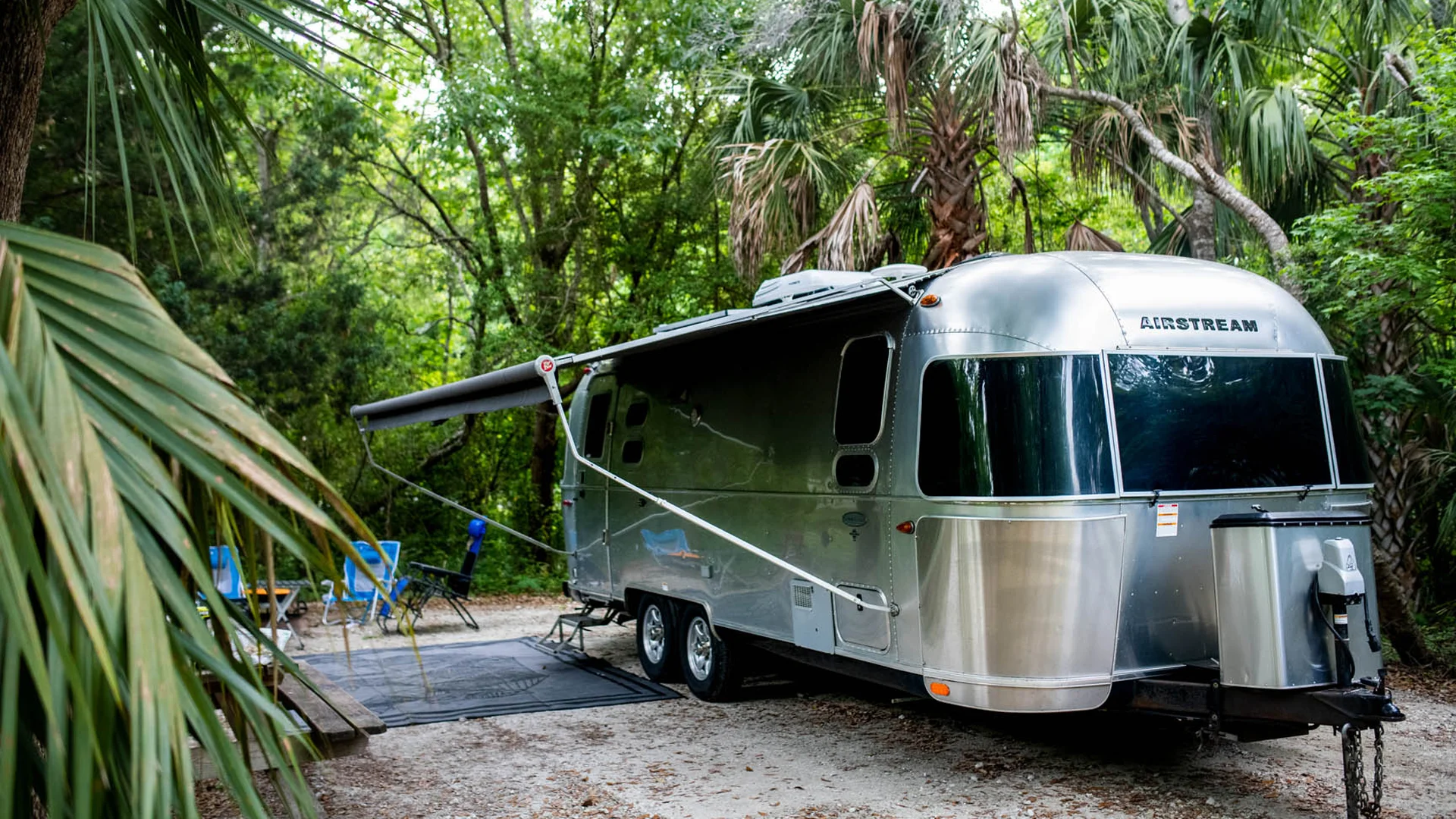 A shiny silver Airstream trailer with an extended awning is parked at a campsite surrounded by lush green trees and palm leaves, with blue folding chairs set up outside.