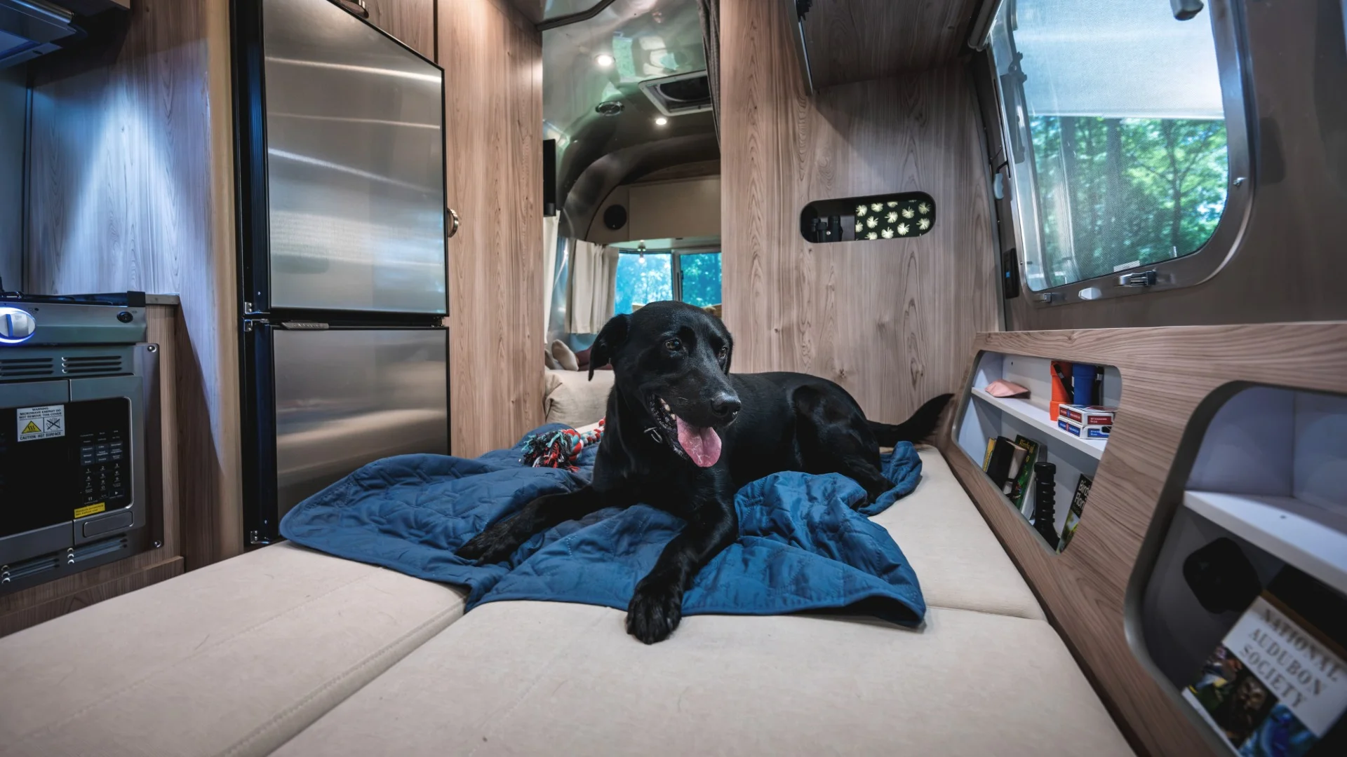 A black dog lies on a blue blanket on a bed inside a modern RV, with a window view of greenery and shelves with books nearby.
