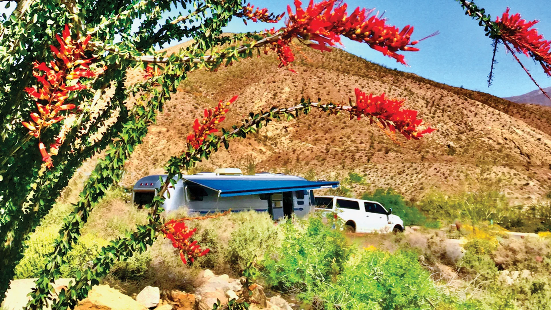 A white RV and truck are parked amid desert vegetation with red flowers in the foreground and a brown, rocky hillside in the background under a clear blue sky.