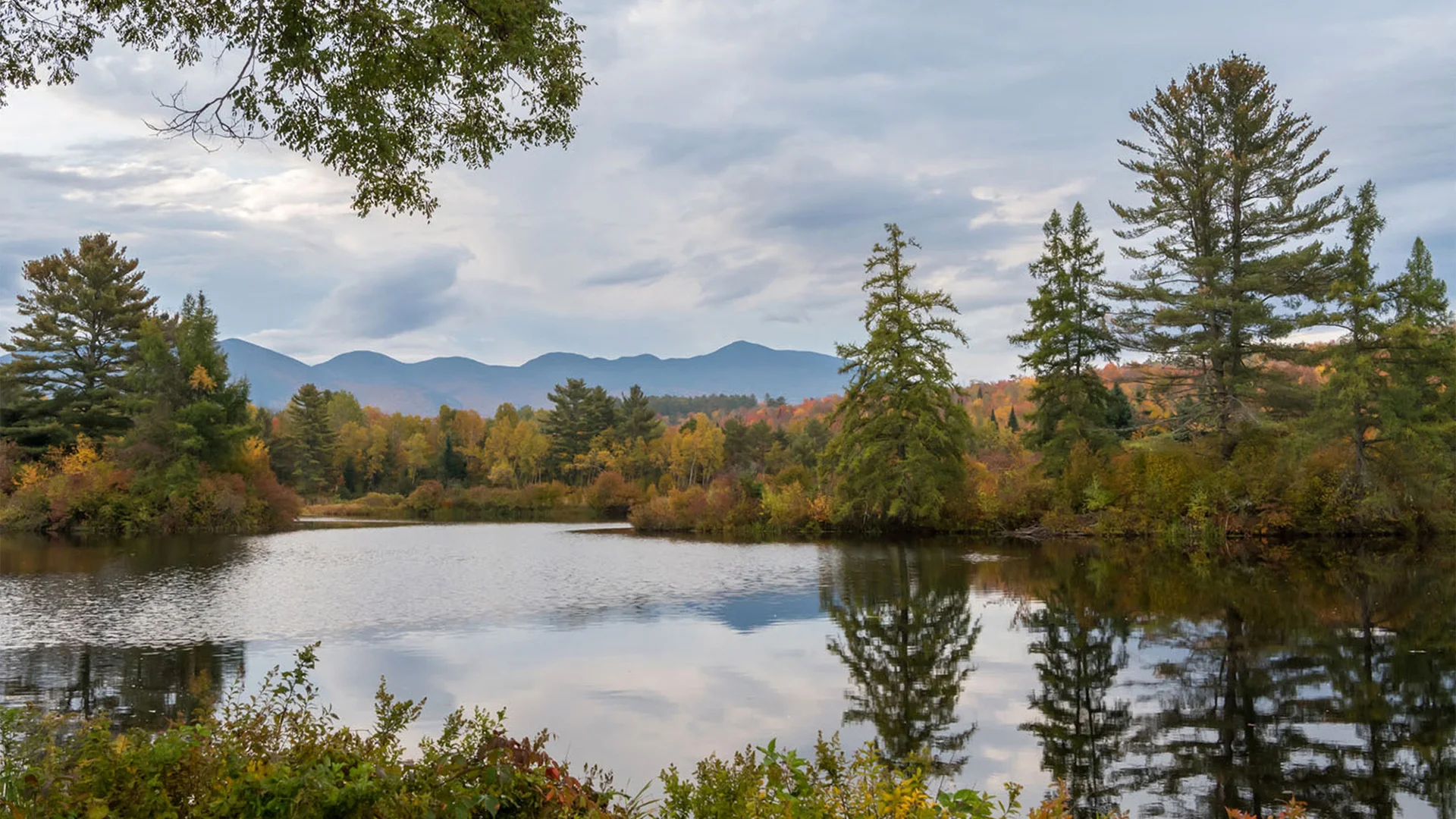 Calm lake with tree reflections, surrounded by autumn foliage and distant mountains under a cloudy sky.
