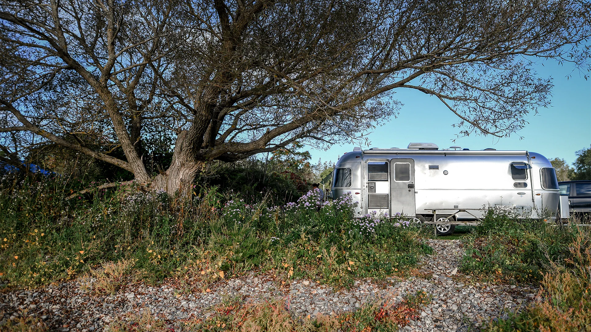 Silver Airstream trailer parked next to a large tree in a scenic, grassy area with wildflowers under a clear blue sky.