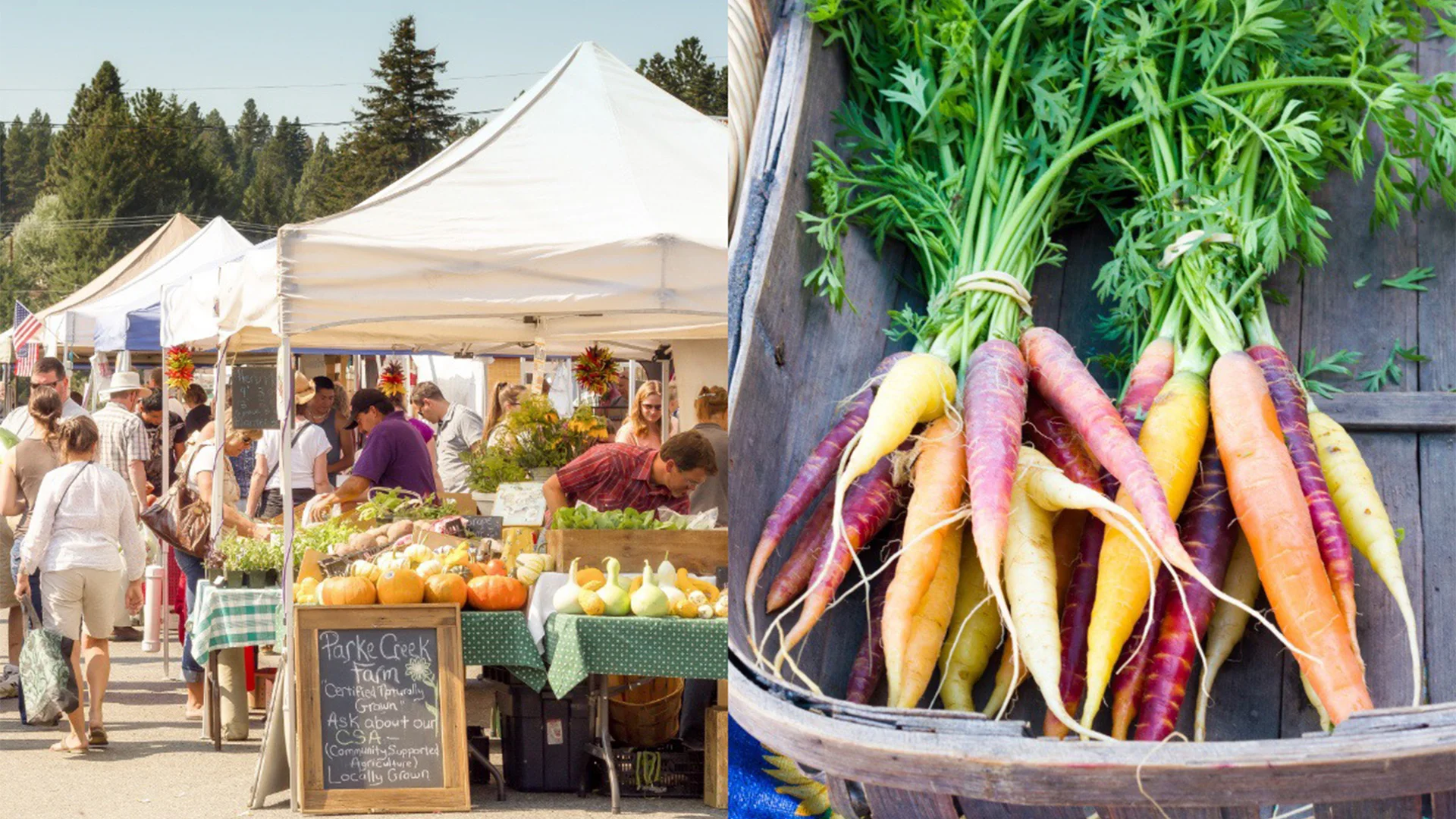 A vibrant farmers' market with busy stalls, fresh produce, and colorful carrots, under bright, sunny skies.