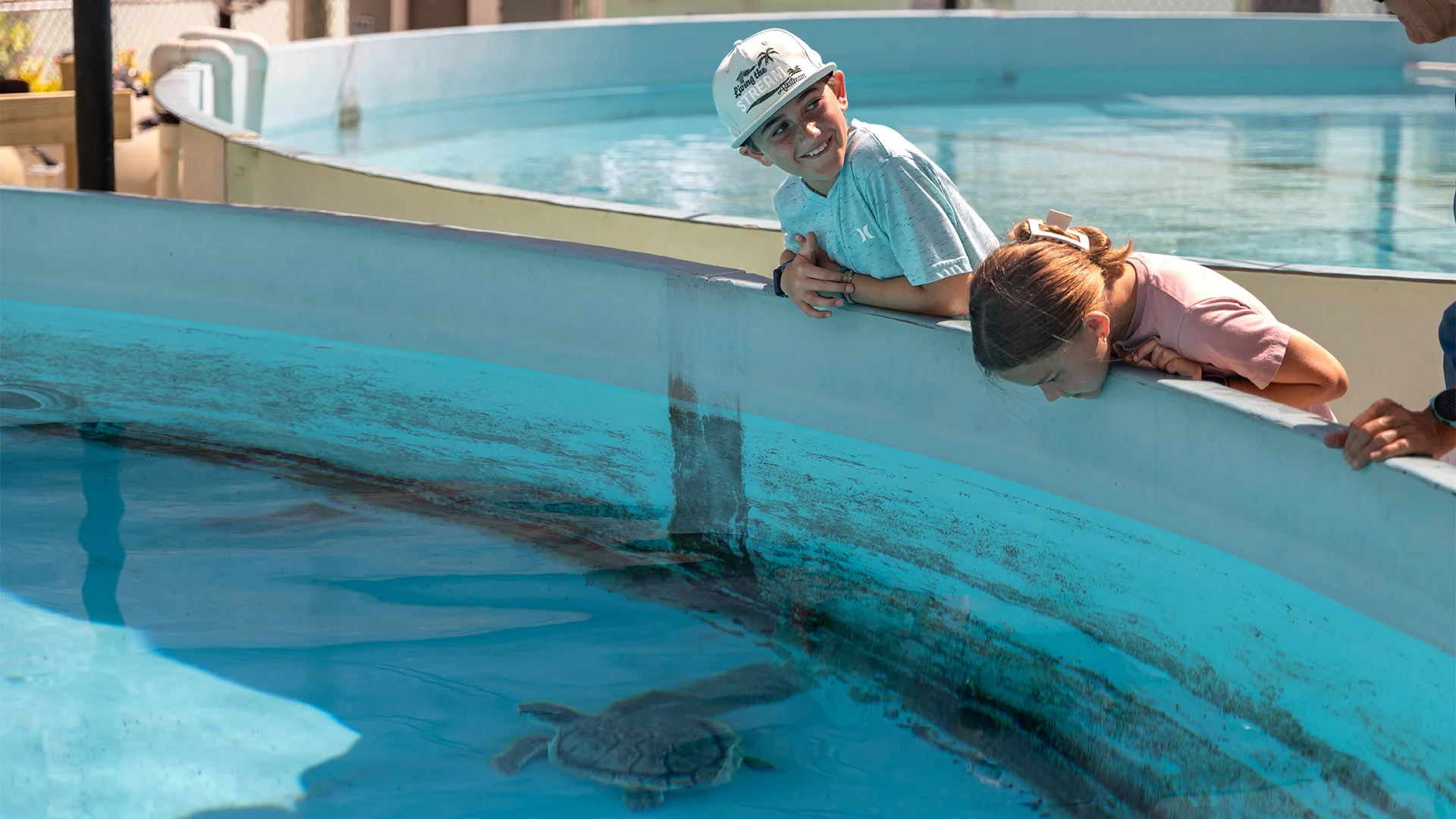 Two children lean over a blue tank observing a sea turtle swimming below them.