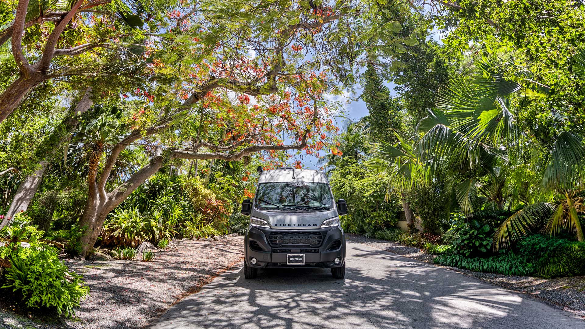 A van is parked on a lush, tree-lined road with vibrant green and red foliage overhead.