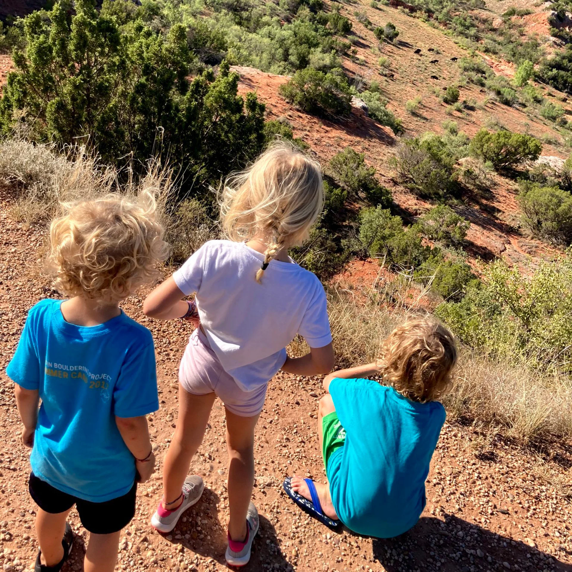 Three young children with blonde hair stand on a rocky trail, looking out over a scenic, sunlit canyon with green shrubs and red soil. Two children wear blue shirts, and one wears a white shirt and pink shorts.