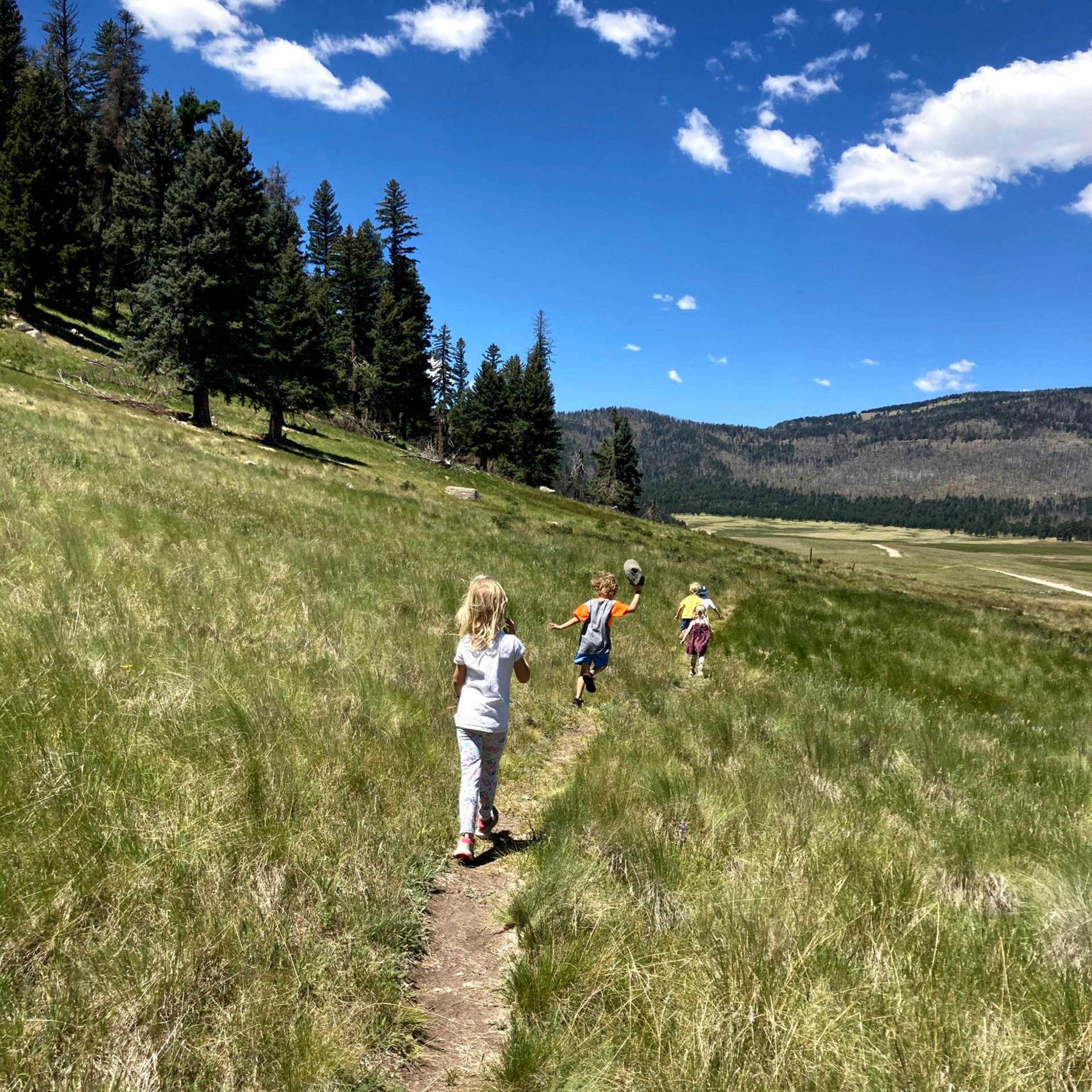 Three children run along a grassy trail surrounded by trees and hills under a blue sky with scattered clouds.