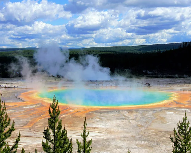 Grand Prismatic Spring with vibrant blue, green, and orange colors, surrounded by steam and lush forest under a cloudy sky in Yellowstone.