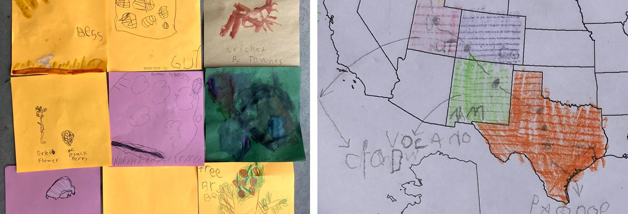 A collage of childrens nature drawings on colored paper is on the left; on the right, a hand-drawn map of US states is filled in with colored scribbles and handwritten words.