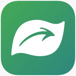 A green square icon with a white leaf and a stylized arrow design in the center.