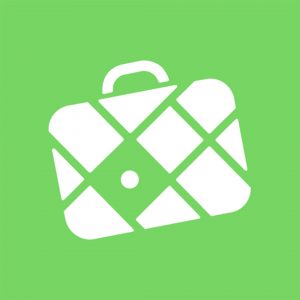 A white suitcase with a grid pattern on a green background.