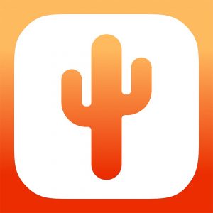 Orange cactus icon on a square background with a gradient from light to dark orange.