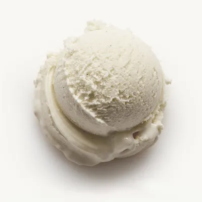 Vanilla gelato with organic Madagascar vanilla beans. Best artisanal gelato in boston.