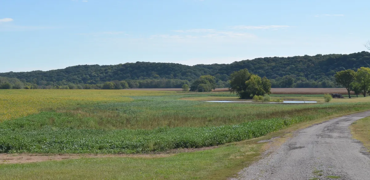 A rural landscape with a winding gravel path, green fields, trees, and a small pond under a clear blue sky.