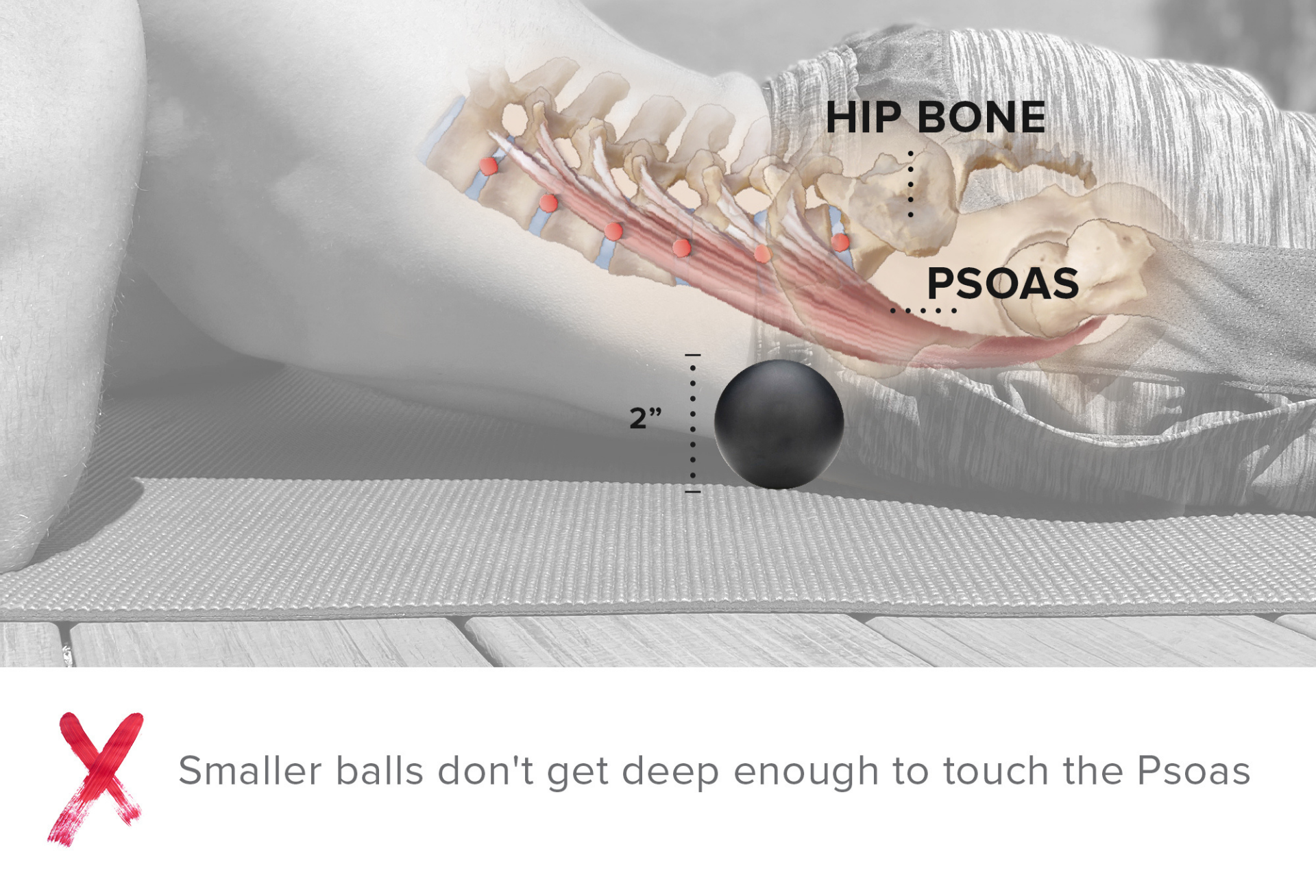 null lacrosse ball infographic too small to reach the psoas muscle