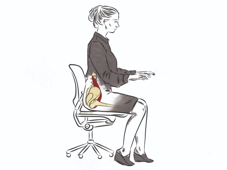null anatomy illustration of hip flexor muscles while sitting