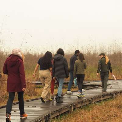 A group of people walks along a wooden pathway through tall grass in a natural setting, guided by a park ranger.