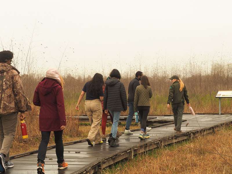 A group of people walks along a wooden pathway through tall grass in a natural setting, guided by a park ranger.