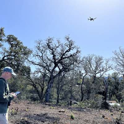 Image of Trevor Hébert operating a drone at Jasper Ridge.