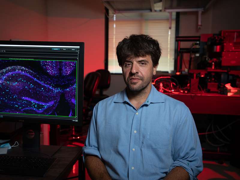 Karl Deisseroth sits in a red-lit lab beside a monitor showing a purple and teal microscope image.