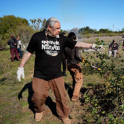 A group of people work together clearing brush and vegetation in a field.