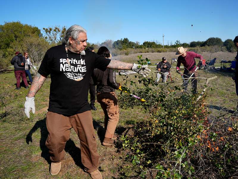 A group of people work together clearing brush and vegetation in a field.