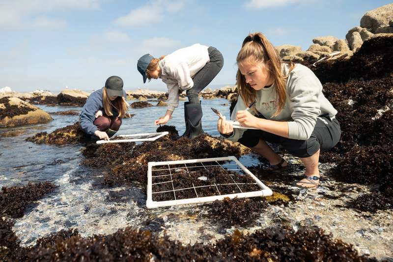 Graduate students Jamie McDevitt-Irwin and Natalie Arnoldi and undergraduate Sarah Pierce take inventory to monitor the health of the tide pools.
