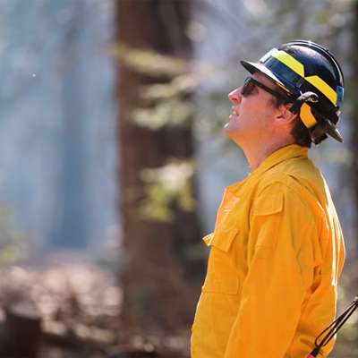 A person in a yellow uniform and helmet looks up, surrounded by trees in a smoky forest.