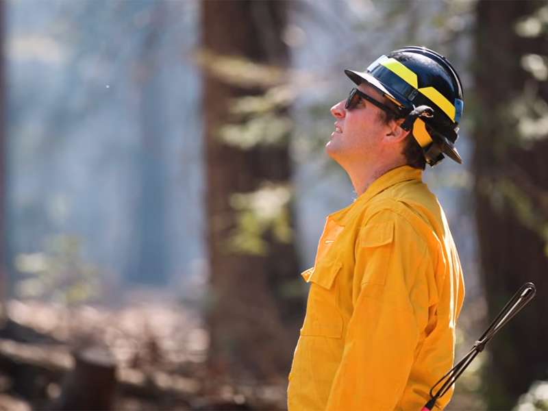 A person in a yellow uniform and helmet looks up, surrounded by trees in a smoky forest.