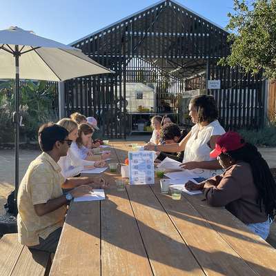 Image of PhD students engaging in small group activities outside on the Farm.